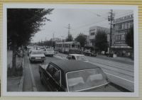 nshu1_166(京都府京都市北区衣笠街道町_金閣寺前)