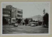 nshu1_291(京都府京都市左京区下鴨本町_下鴨本通北大路)