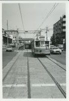 nskw_055(京都府京都市下京区朱雀堂ノ口町_中央市場付近)