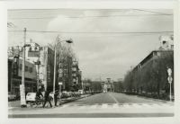 nskw_064(京都府京都市中京区梅屋町_府庁前)