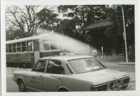 nskw_098(京都府京都市上京区京都御苑_烏丸下立売)