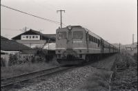 osma_255()