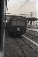osma_429()