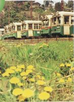 sdn_011(京都府京都市左京区浄土寺真如町_錦林車庫)