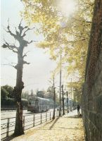 sdn_038(京都府京都市東山区_東一条と近衛の間)