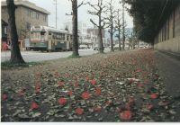 sdn_064(京都府京都市北区平野宮本本町_平野神社前)