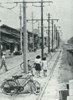 sdn_446(不明)