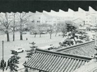 sdn_521(京都府京都市下京区常葉町_東本願寺前)