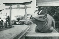 sdn_543(京都府京都市上京区馬喰町_北野天満宮)