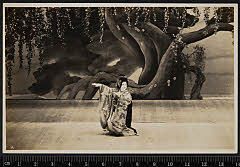 sol-I-01-08-13昭和１２・1937歌舞伎座「［歌へす歌へす名残大津絵］藤娘」藤娘〈6〉尾上　菊五郎