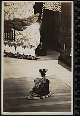 sol-I-01-09-45昭和０６・1931歌舞伎座「京鹿子娘道成寺」白拍子花子〈6〉尾上　菊五郎