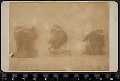 sol-J-05-08-06明治・「鬘」