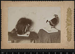 sol-J-05-09-11明治・「鬘」