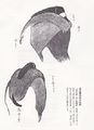 2017年2月9日 (木) 12:55時点における版のサムネイル