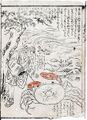 2017年2月9日 (木) 13:13時点における版のサムネイル