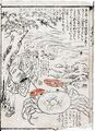 2017年2月9日 (木) 13:13時点における版のサムネイル