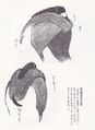 2017年2月9日 (木) 13:15時点における版のサムネイル