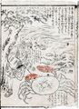 2017年2月9日 (木) 13:13時点における版のサムネイル