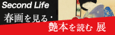 secondlifebanner.png