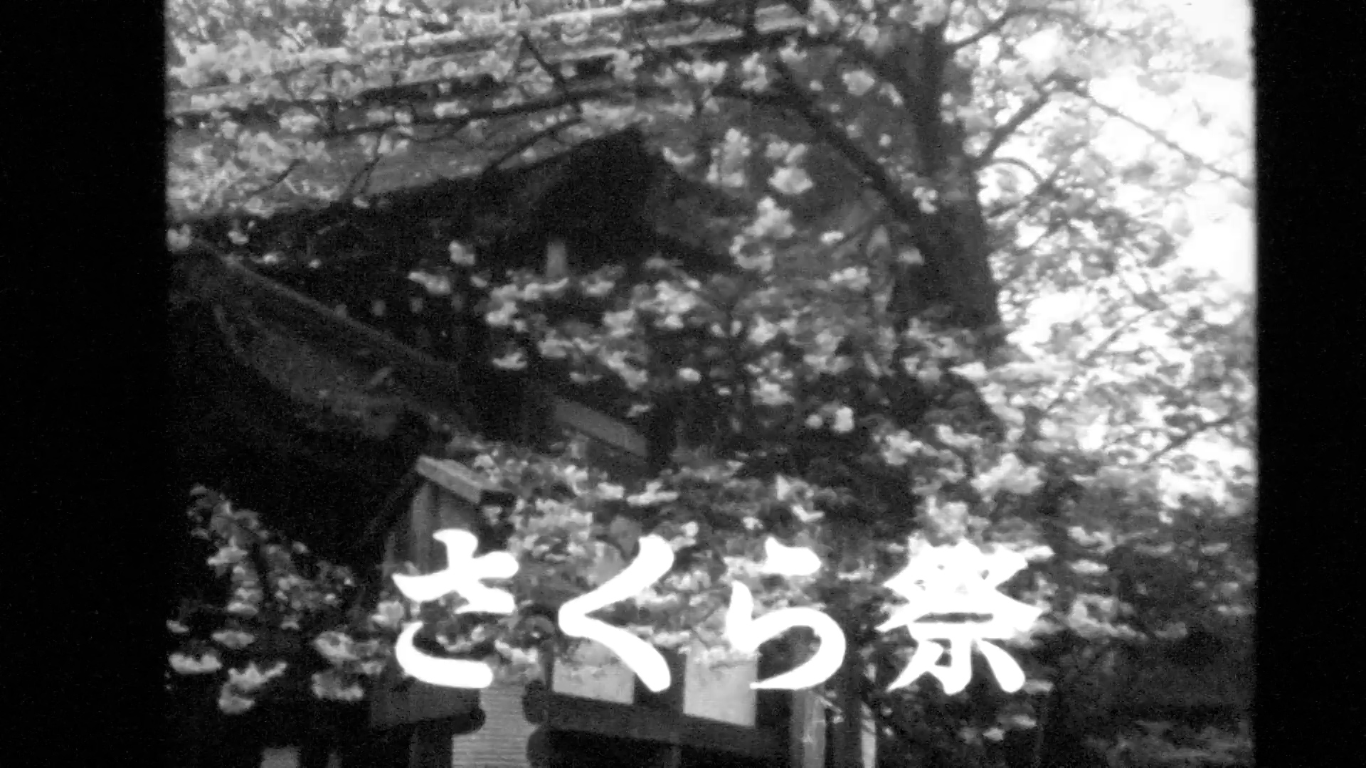 京都市