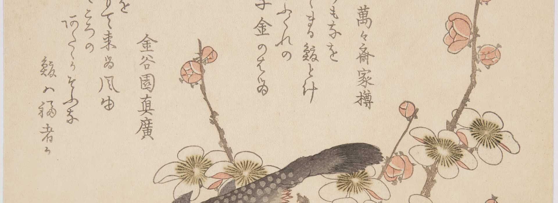 UCLA East Asian Library Digital Archive (supported by the Yanai Initiative)