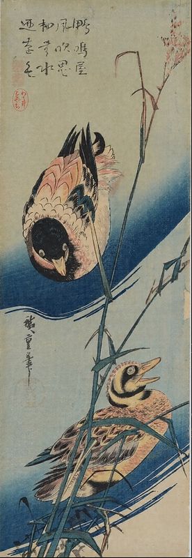 「葦に鴨」歌川広重【初代】（江戸）