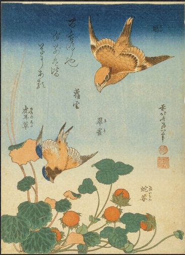 「鵙 翠雀 蛇苺 虎耳草」葛飾北斎（江戸）