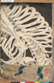 2017年2月9日 (木) 16:00時点における版のサムネイル