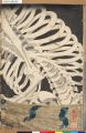 2017年2月9日 (木) 16:00時点における版のサムネイル