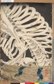 2017年2月9日 (木) 16:00時点における版のサムネイル